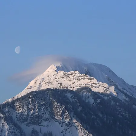 酒店 Alpenhotel Goesing 4*