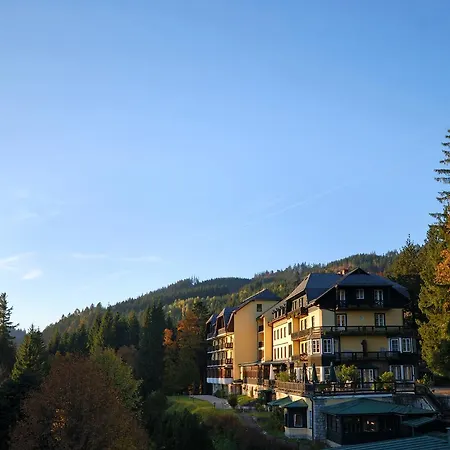 Alpenhotel Goesing Hotel Puchenstuben