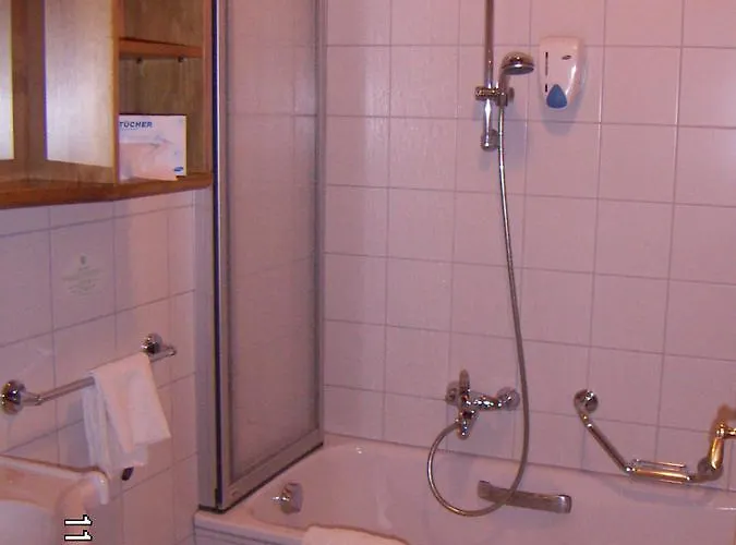 Alpenhotel Goesing 4*