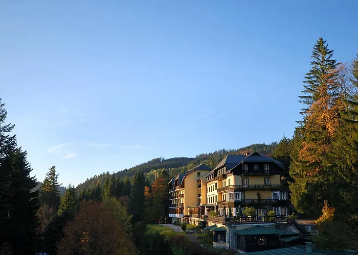 Alpenhotel Goesing Hotel Puchenstuben