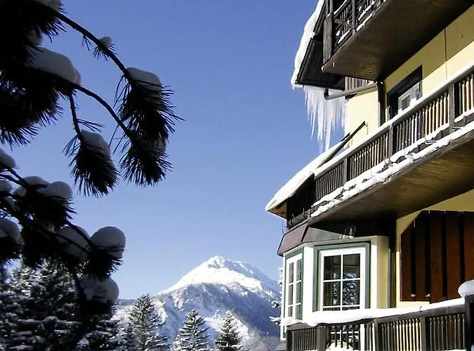 Hotel Alpenhotel Goesing Puchenstuben