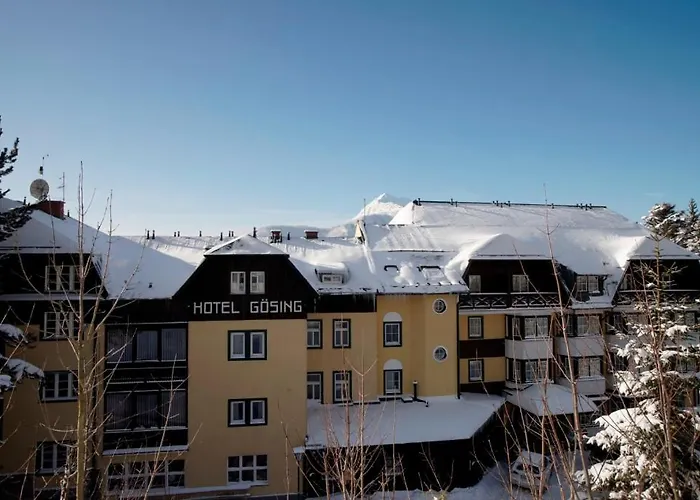 Alpenhotel Goesing 4* Puchenstuben