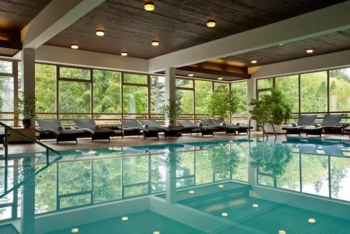 Alpenhotel Goesing 4* Puchenstuben