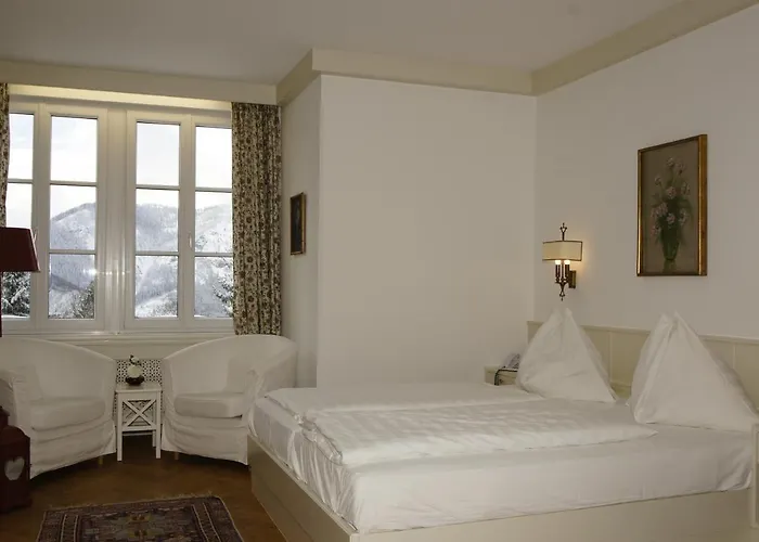 Hotel Alpenhotel Goesing Puchenstuben